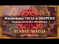 🎶 Жизненная СИЛА и ЭНЕРГИЯ  741 Гц 🔥 Очищение ВСЕХ ТЕЛ ОРГАНИЗМА! ↯ Slavic Magia