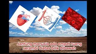 instrumen lagu potong bebek angsa versi sistem peredaran darah manusia