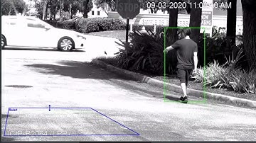 Smart AI Human Detection | IC Realtime