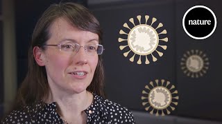 How scientists are fighting the coronavirus: A three minute guide