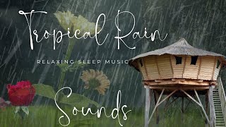 Heavy Rain Drop Sounds On A Tropical Farm Hut Roof Perfect for Sleeping or Relaxing 🌧️ Rainstorm