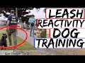 Rottweiler Attacks other dogs - Aggressive Dog Training with Americas Canine Educator Day 1 Part 2