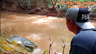 Sensasi Mancing Ikan Baung Pakai 2 joran,,Di Jamin Kuwalahan