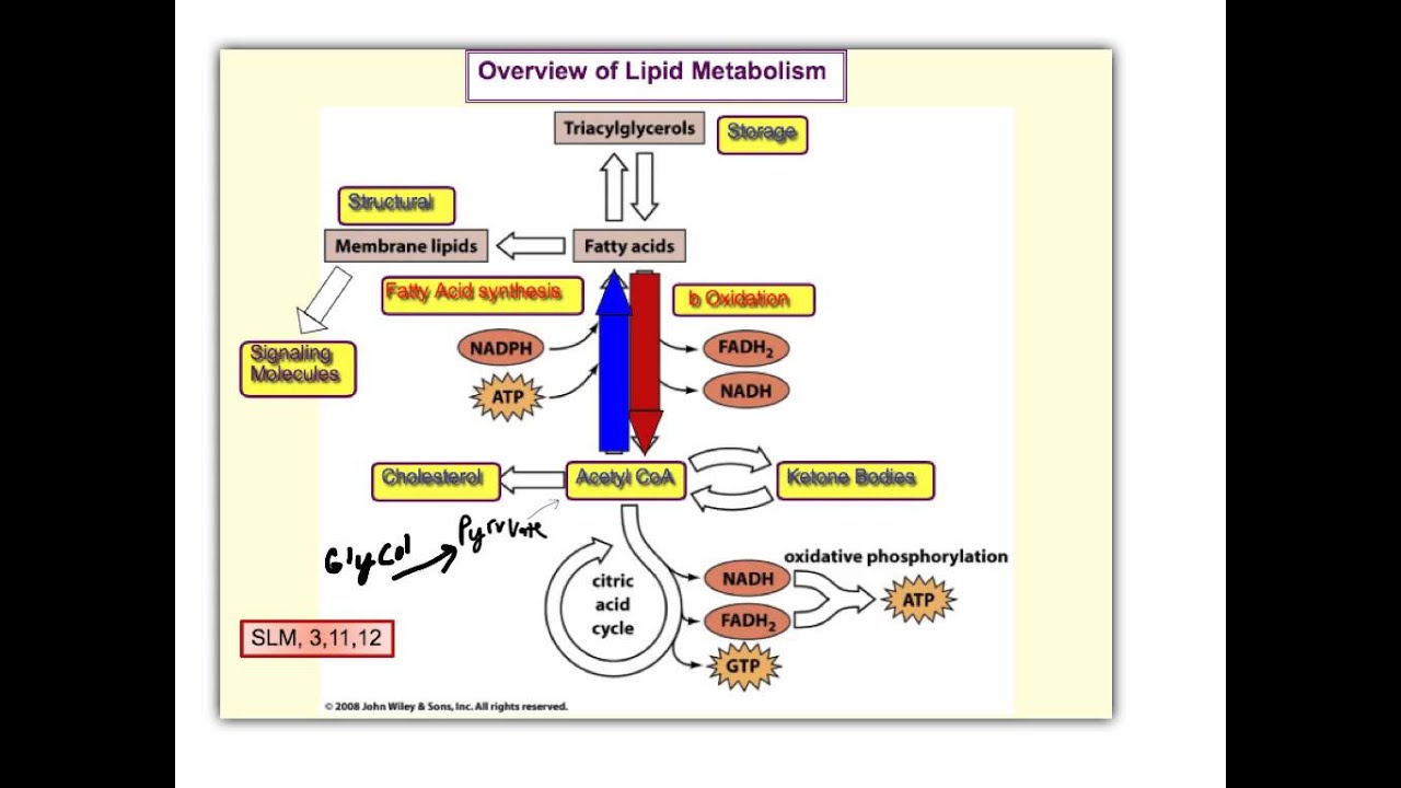 engineering aspects of geologic