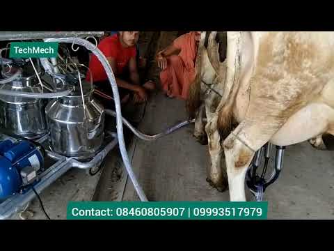 Double Bucket Milking Machine | Double Cluster Milking Machine |