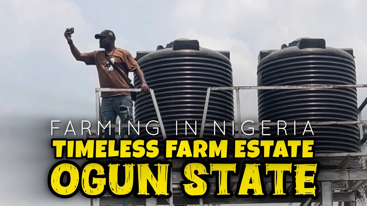 FARM LAND IN OGUN STATE | TIMELESS FARM ESTATE - FARMING BUSINESS IN NIGERIA