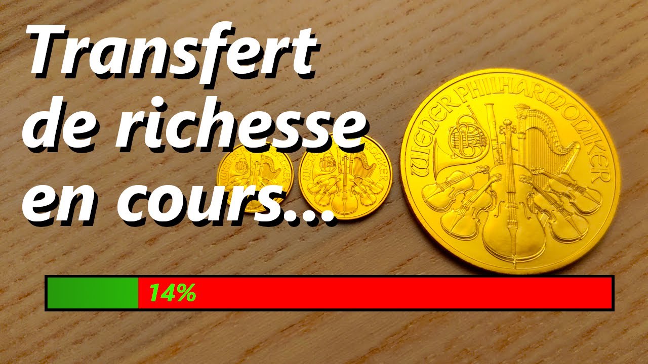 Faites face à l'HYPERINFLATION ! Or ou Immobilier ?