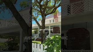 Old Village Mount Pleasant, SC | Most Charming Mt. Pleasant Neighborhood #mountpleasantrealestate