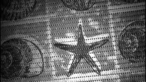 Sample of the video stream from Tello EDU