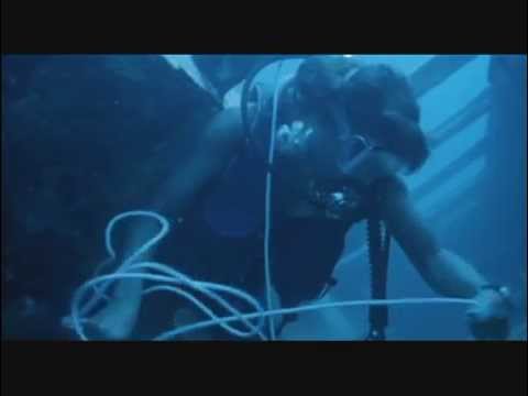 Piranha 2 Stream Piranha 2 Stream