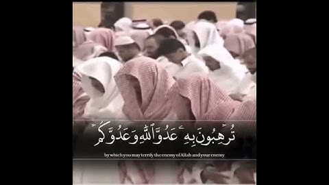 الدوسري وما أدراك ما الدوسري 🌹تلاوة في قمة الروعة من صلاة التراويح د.ياسر الدوسري إمام الحرم المكي