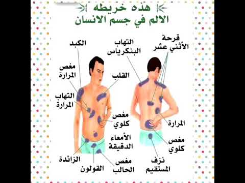 فيديو: هل الشرايين زرقاء أم حمراء في المخططات؟