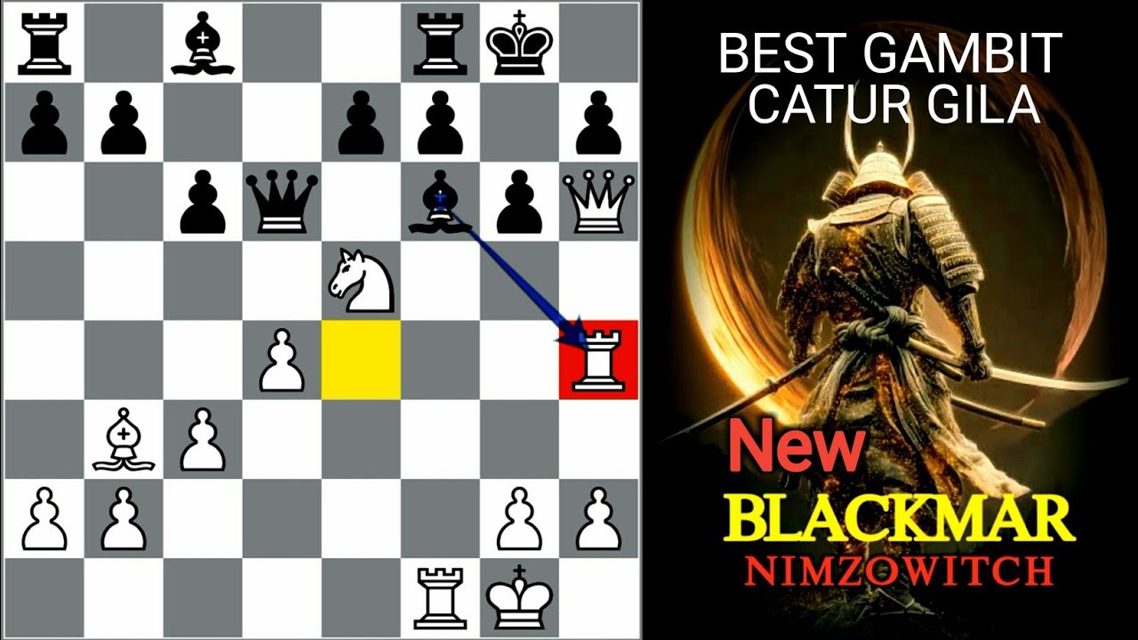 TOP 3 Pembukaan Gambit Terbaik Catur Gila - Blackmar Diemer - YouTube
