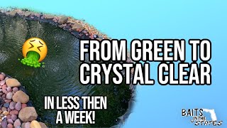 HOW TO MAKE YOUR POND WATER CLEAR!! (FROM GREEN TO CRYSTAL CLEAR WATER)