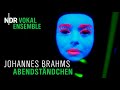 Miniature de la vidéo de la chanson Lieder, Op. 42 (Weltliche A-Cappella-Gesänge): Nr. 1 Abendständchen (Hör, Es Klagt Die Flöte Wieder)