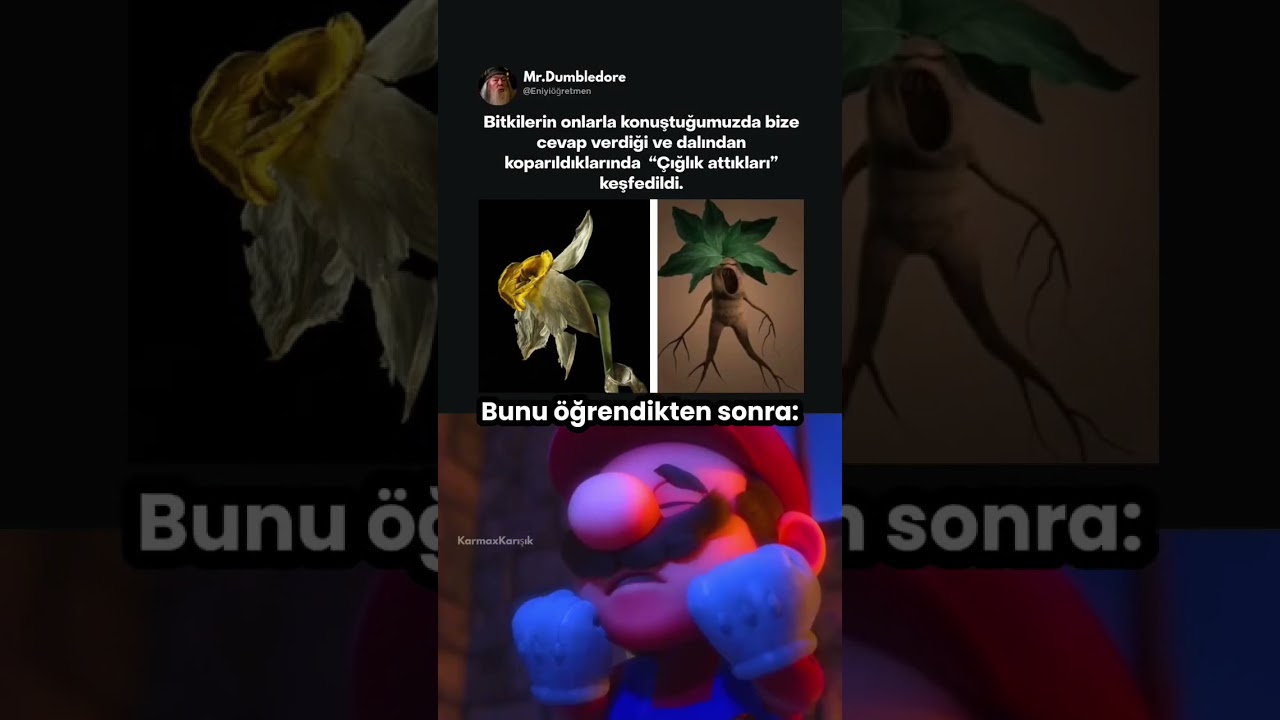 Bitkiler çığlık atıyormuş 😭