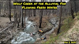 Wolf Creek at the Alluvial Fan   Flowing Fresh Water #river #wildfire #water