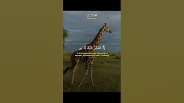 سورة لقمان القران الكريم #africa #duet #دويتو #اكسبلور #القرآن #القرآن_الكريم #القهوه #افريقيا #لايك