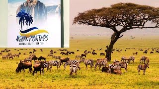 #BMGTV Wananchi kupelekwa Serengeti kufurahia miaka 60 ya Uhuru