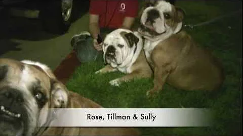 Tillman & Friends on the Night Before the 2012 Ros...