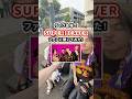 ファン全体の印象は?【SUPER BEAVER】#shorts #SUPERBEAVER #ライブインタビュー #キョウユウロク #響遊録