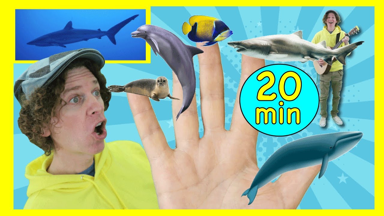 Sea Creatures Finger Family and More Songs | 20 Minutes | Dream English Kids Sea Creatures Finger Family and More Songs | 20 Minutes | Dream English Kids