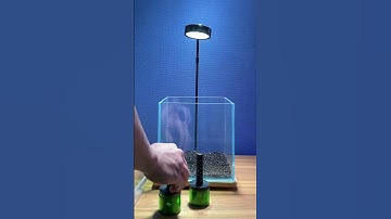 Cách setup bể Tép cảnh đơn giản #tepcanh #tepmau #becamini