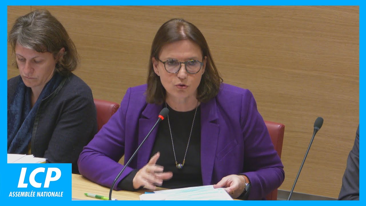 Protection de l'enfance : audition du Défenseur des droits - 12/11/2024