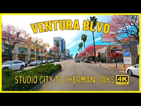 Driving Ventura Boulevard - Studio City to Sherman Oaks | Los Angeles California [4K UHD] April 2023