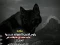 ما حد يلوم الذيب لا صوته ع لا المصمم ابو جمال الكازمي