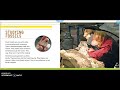 Exploring Fossils and Paleontology Quiz