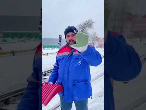 За собак не переживайте - они могут инструктаж провести:) #изметро #izmetro #shortsmetro #shorts