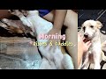 This Is How Our Morning REALLY Goes… 🐾