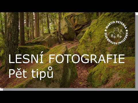 Video: Turisté Byli Fotografováni S Podivným Tvorem V Zamlženém Lese - Alternativní Pohled