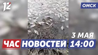 Массовая гибель рыбы / Туристический рейс / ДТП на Герцена. Новости Омска