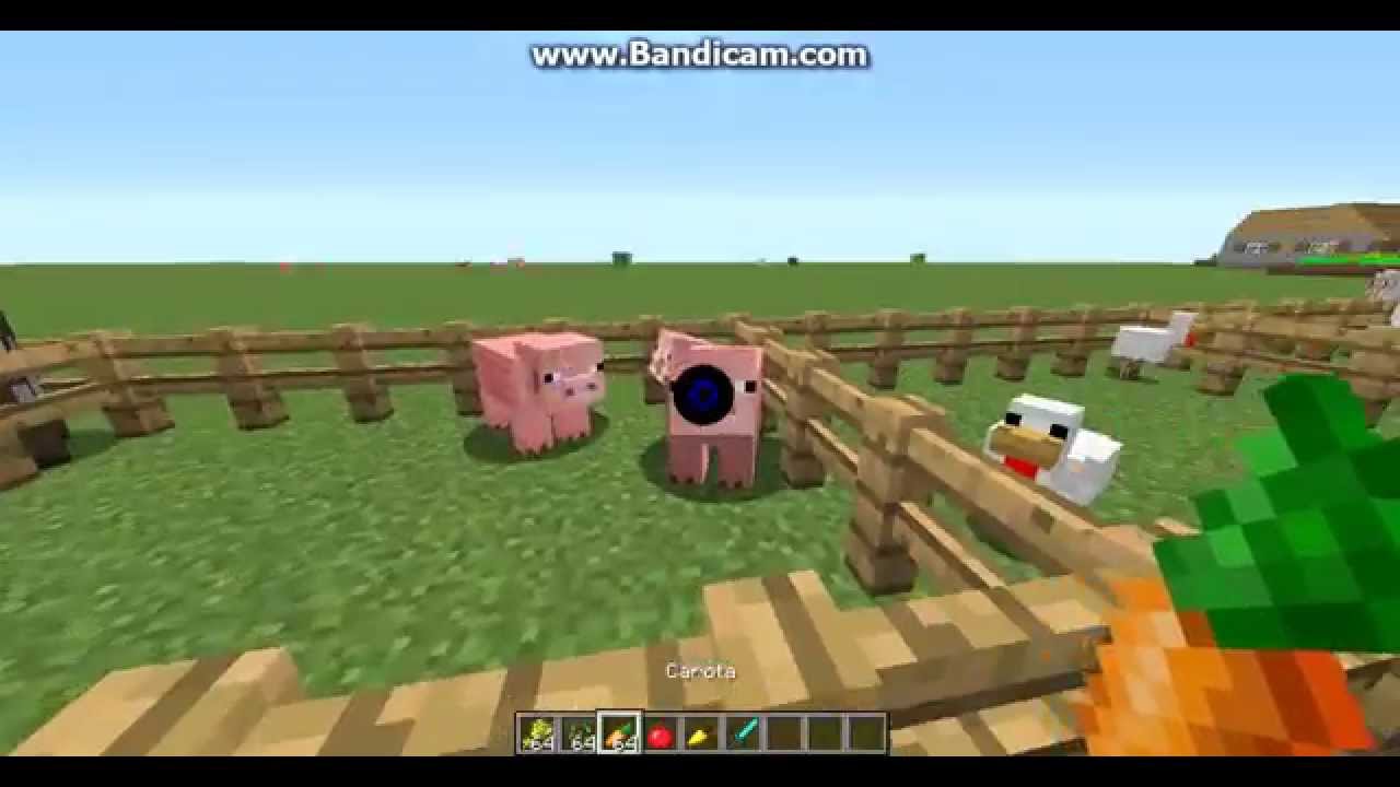 Come Fare Accoppiare I Cavalli Su Minecraft
