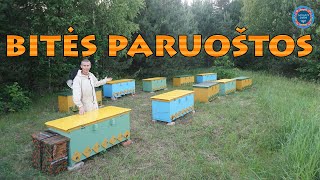 Bitės Paruoštos Transportavimui