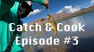 3 Days  Fly Fishing in the Uinta High Country  Catch and Cook