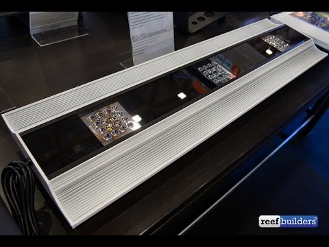 giesemann viva led and