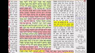 גיטין ה דף יומי מסכת גיטין דף ה Daf yomi Gittin daf 5 שמואל נבון
