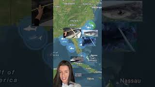 The Gulf is Lighting Up!