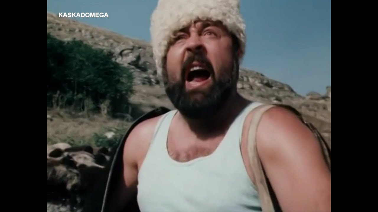Торфяные таблетки для рассады — садово-огородническое ноу хау картинки Торфяные таблетки для рассады — садово-огородническое ноу хау картинки
