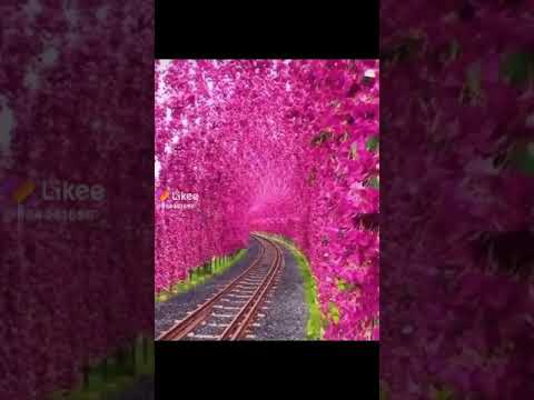 بحكي عنك يا حبيبي لأهالي الحي فيروز أجمل صباحيات