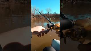 ATAQUE de LUCIO a SWIMBAIT