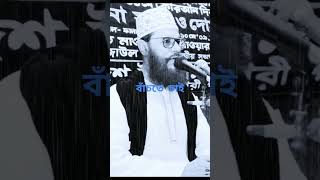 দিনের আলো delowarhossain  islamic sad