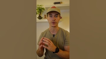 🤫 Not all wine labels tell the truth