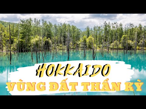 Video: Công viên quốc gia hàng đầu ở Hokkaido, Nhật Bản