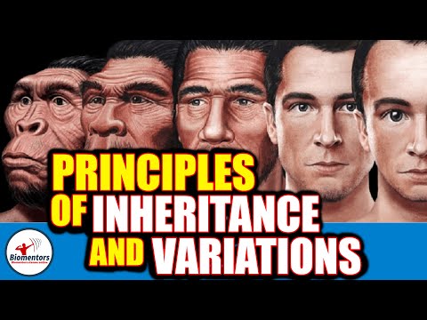 #Biomentors #NEET 2021: Biology - Principles Of Inheritance & Variations lecture - 1