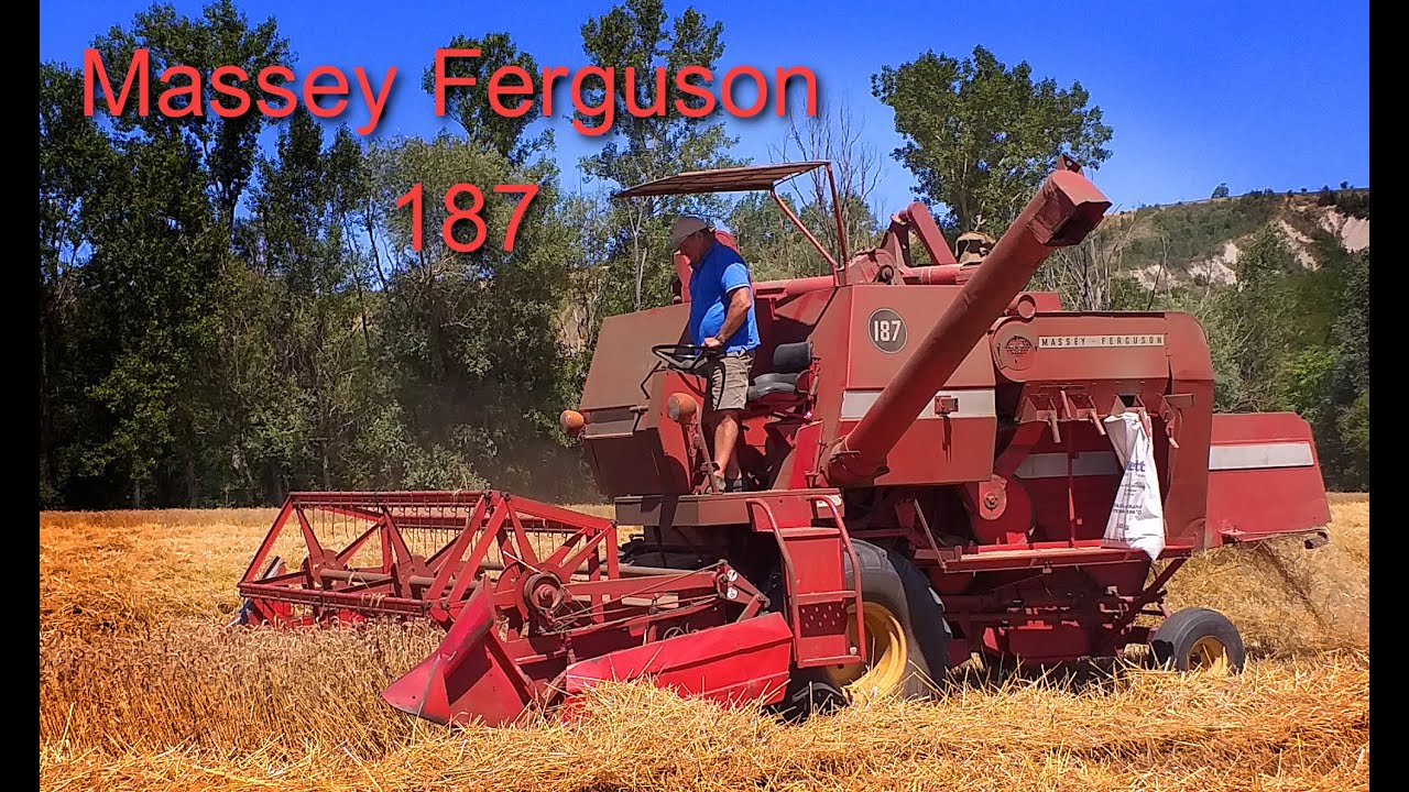 Albero Per Mietitrebbia AGCO Massey Ferguson 71144859 | Nuovo In Stoccaggio