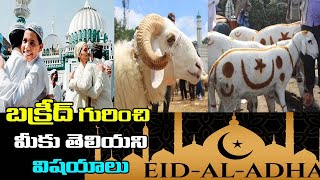 Bakrid History in Telugu | Bakrid Video | Eid al-Adha | #Bakrid | Happy Eid-ul-Adha 2021 | TN